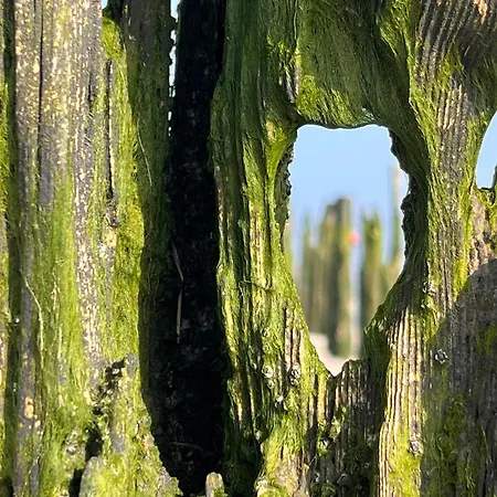 Strandschoenheit Апартаменты Вангероге